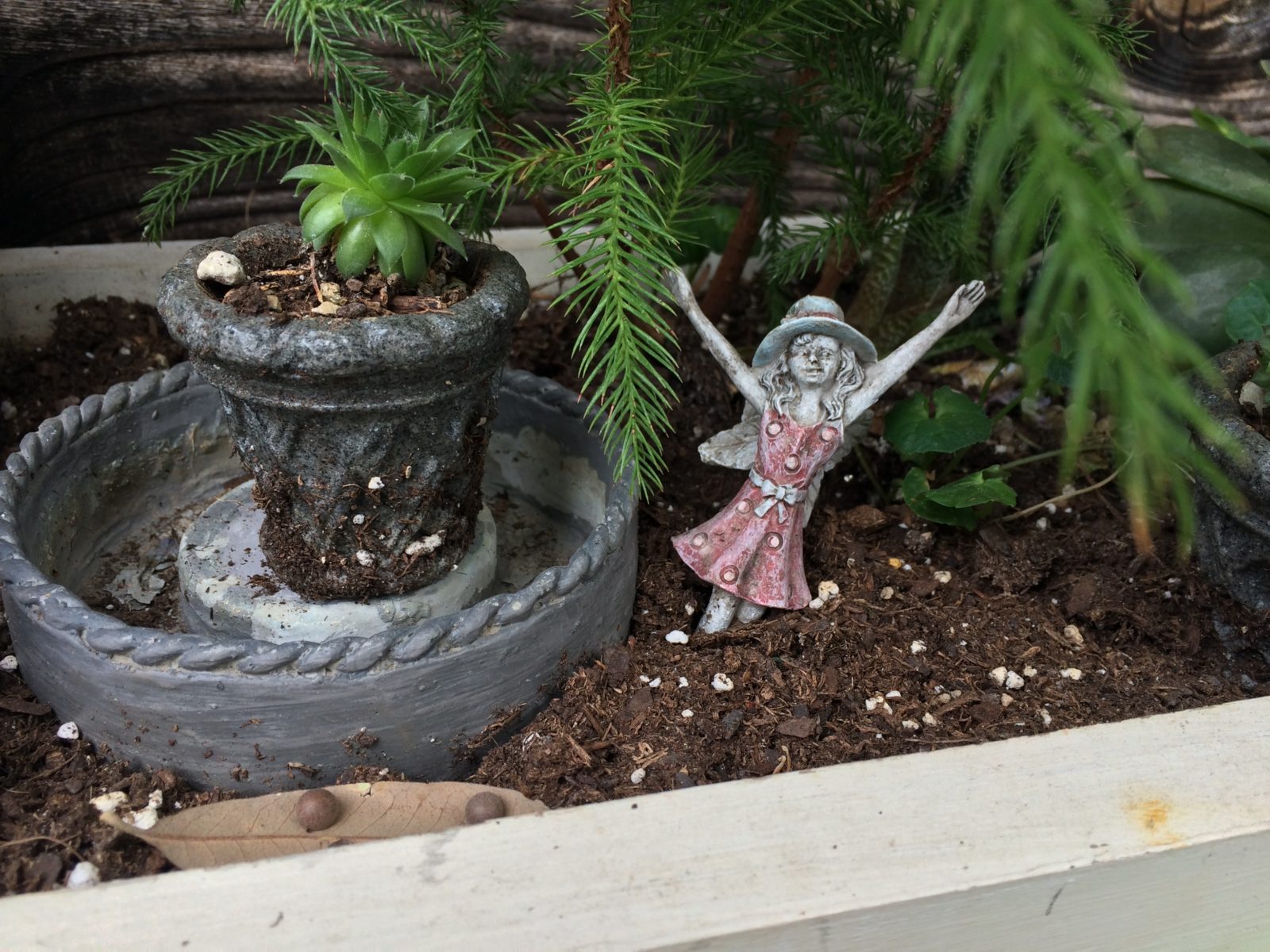 Wimberley Market Days Fairy Garden In the Garden With Dinah Old Factory Soap Company