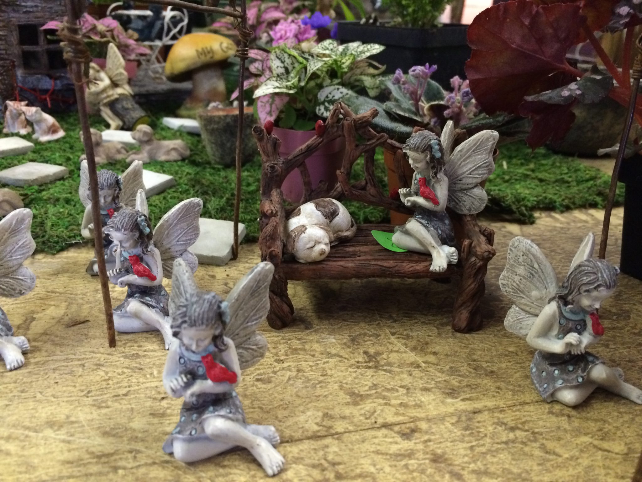 Wimberley Market Days in Wimberley Texas
