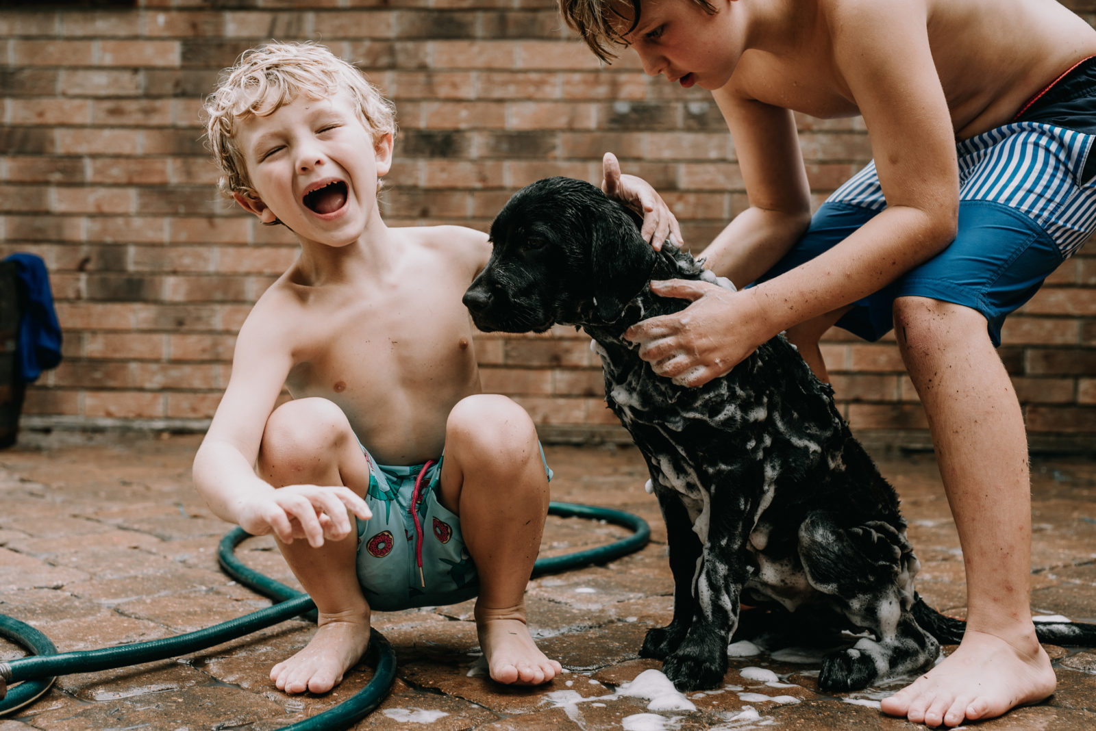 All Natural Puppy Safe Dog Soap Old Factory Soap