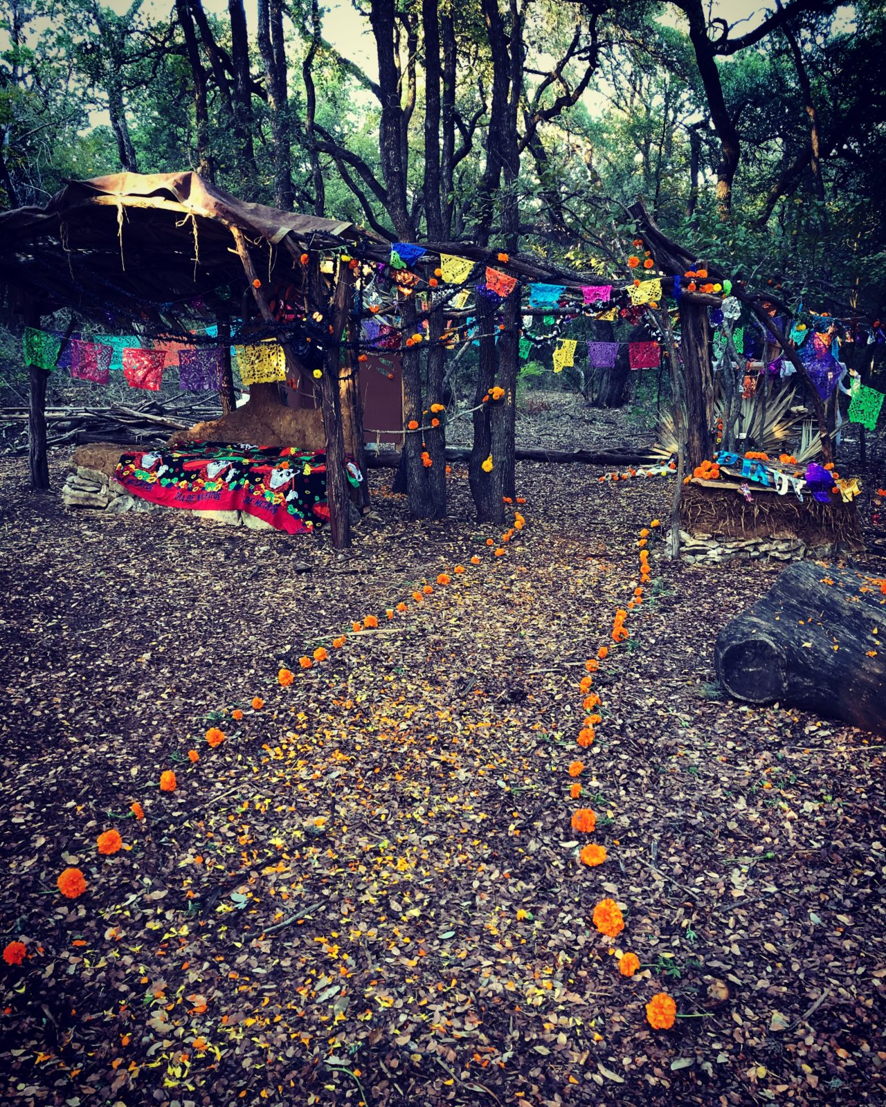 Moonflower Herb Fest Austin Texas 2019