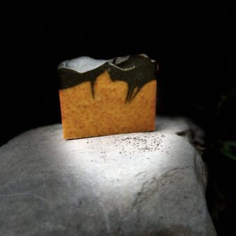 Organic Pumpkin Natural Soap texas