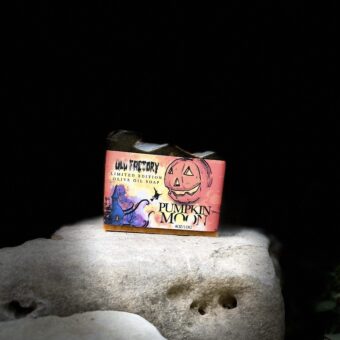 Pumpkin Soap Blanco texas