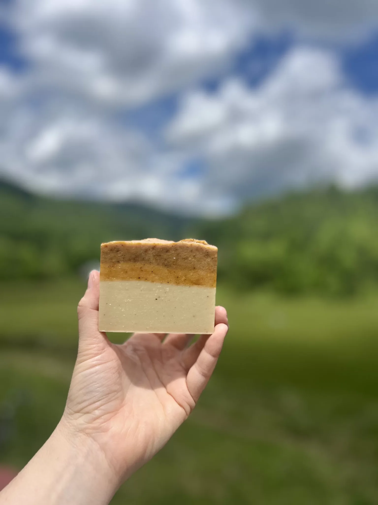 Revive Goats Milk Colostrum Soap Old Factory Soap Hot Springs North Carolina Limited edition